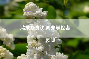 鸿蒙修真诀,鸿蒙掌控者
灵仙 鸿蒙修真诀,鸿蒙掌控者
灵仙