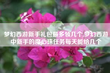 梦幻西游新手礼包最多领几个,梦幻西游中新手的魔心珠任务每天能给几个