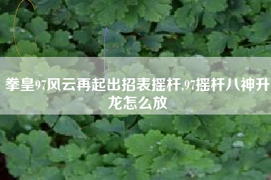 拳皇97风云再起出招表摇杆,97摇杆八神升龙怎么放