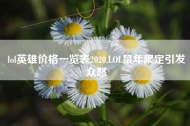 lol英雄价格一览表2020,LOL鼠年限定引发众怒