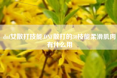 dnf女散打技能,DNF散打的30技能柔滑肌肉有什么用