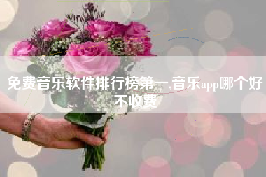 免费音乐软件排行榜第一,音乐app哪个好不收费