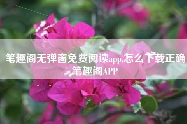 笔趣阁无弹窗免费阅读app,怎么下载正确笔趣阁APP