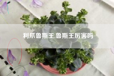 利爪鲁斯王,鲁斯王厉害吗
