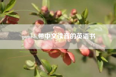 punish,带中文读音的英语书