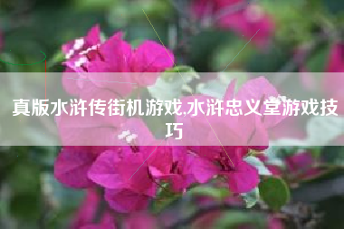 真版水浒传街机游戏,水浒忠义堂游戏技巧