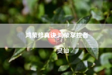 鸿蒙修真诀,鸿蒙掌控者
灵仙 鸿蒙修真诀,鸿蒙掌控者
灵仙