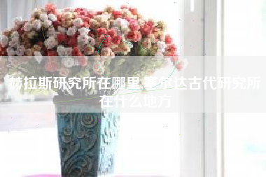 赫拉斯研究所在哪里,塞尔达古代研究所在什么地方