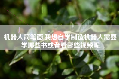 机器人简笔画,我想自学制造机器人需要学哪些书或者看哪些视频呢