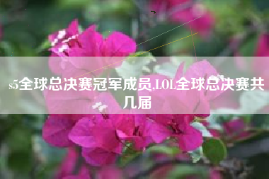 s5全球总决赛冠军成员,LOL全球总决赛共几届