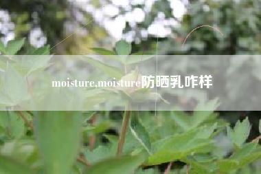 moisture,moisture防晒乳咋样