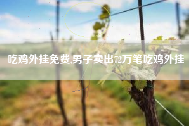 吃鸡外挂免费,男子卖出72万笔吃鸡外挂