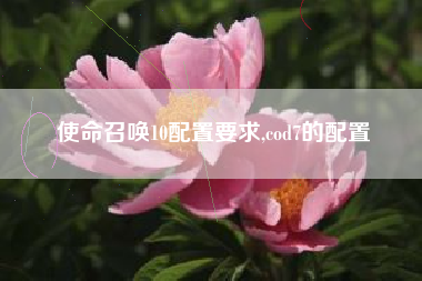 使命召唤10配置要求,cod7的配置