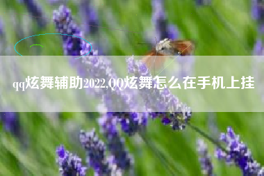 qq炫舞辅助2022,QQ炫舞怎么在手机上挂