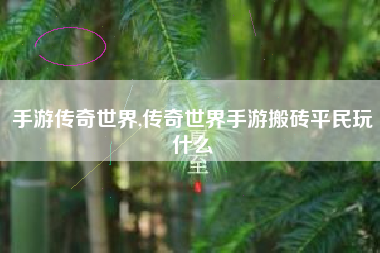手游传奇世界,传奇世界手游搬砖平民玩什么