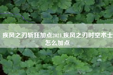 疾风之刃斩狂加点2021,疾风之刃时空术士怎么加点