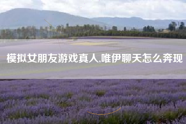 模拟女朋友游戏真人,唯伊聊天怎么奔现