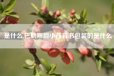 是什么,巴勒斯坦小孩背书包装的是什么