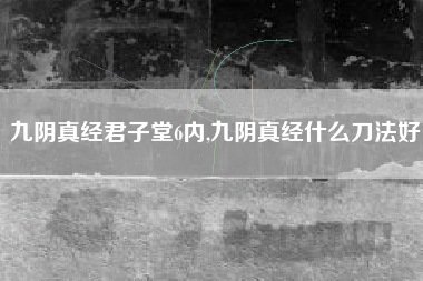 九阴真经君子堂6内,九阴真经什么刀法好