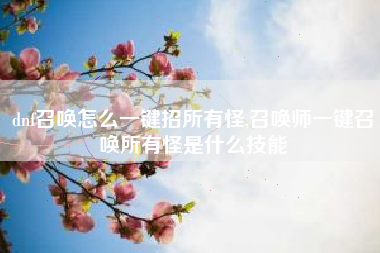 dnf召唤怎么一键招所有怪,召唤师一键召唤所有怪是什么技能