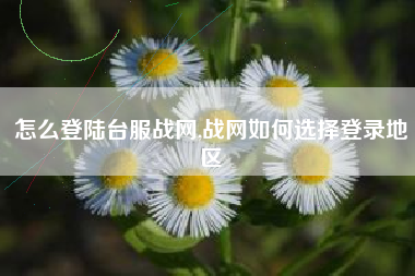 怎么登陆台服战网,战网如何选择登录地区
