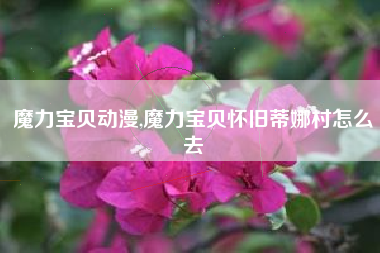 魔力宝贝动漫,魔力宝贝怀旧蒂娜村怎么去