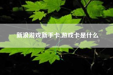 新浪游戏新手卡,游戏卡是什么