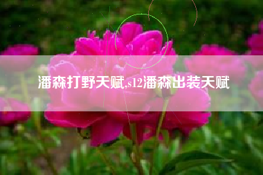 潘森打野天赋,s12潘森出装天赋