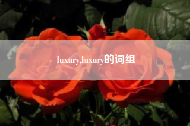 luxury,luxury的词组