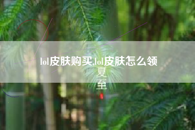 lol皮肤购买,lol皮肤怎么领