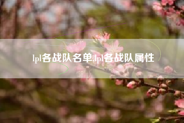 lpl各战队名单,lpl各战队属性