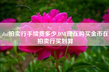 dnf拍卖行手续费多少,DNF现在购买金币在拍卖行买划算