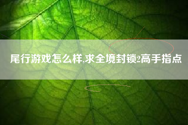尾行游戏怎么样,求全境封锁2高手指点