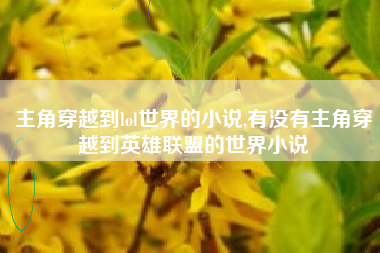 主角穿越到lol世界的小说,有没有主角穿越到英雄联盟的世界小说