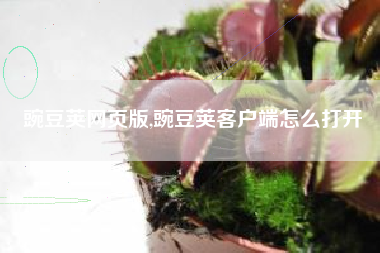 豌豆荚网页版,豌豆荚客户端怎么打开
