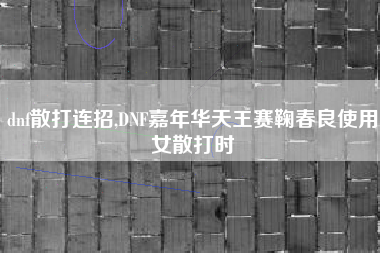 dnf散打连招,DNF嘉年华天王赛鞠春良使用女散打时