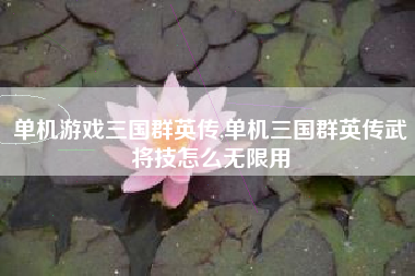 单机游戏三国群英传,单机三国群英传武将技怎么无限用