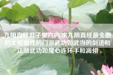 九阴真经君子堂六内,求九阴真经最全面的太极属性的门派武功如武当的剑法和江湖武功如魔心连环手和凋翎