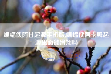 蝙蝠侠阿甘起源手机版,蝙蝠侠阿卡姆起源里面能滑翔吗