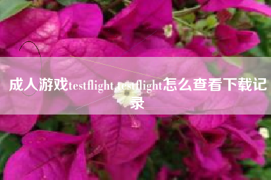 成人游戏testflight,testflight怎么查看下载记录
