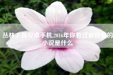 丛林之狐安卓手机,2016年你看过最好看的小说是什么