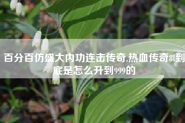 百分百仿盛大内功连击传奇,热血传奇8l到底是怎么升到999的