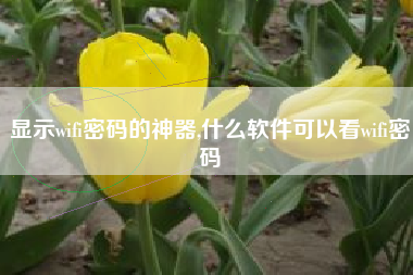 显示wifi密码的神器,什么软件可以看wifi密码