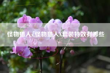 怪物猎人x,怪物猎人X套装特效有哪些