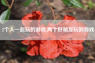 2个人一起玩的游戏,两个好朋友玩的游戏