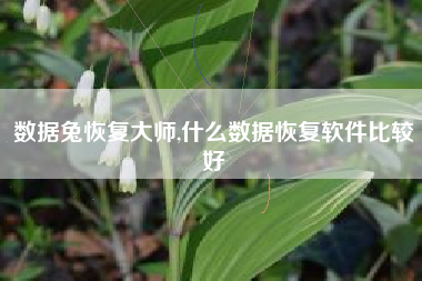 数据兔恢复大师,什么数据恢复软件比较好