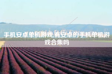 手机安卓单机游戏,有安卓的手机单机游戏合集吗