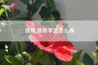 洛奇,洛奇手艺怎么练