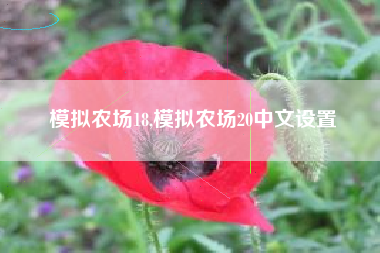 模拟农场18,模拟农场20中文设置