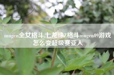 mugen全女格斗,七龙珠Z格斗mugen09游戏怎么变超级赛亚人